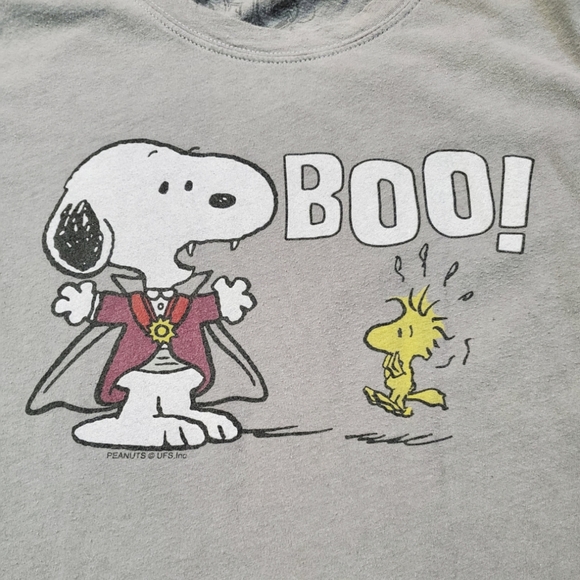 BOO! Snoopy and Woodstock Size Medium Grey Short Sleeve Halloween  Graphic Tee - Picture 6 of 10